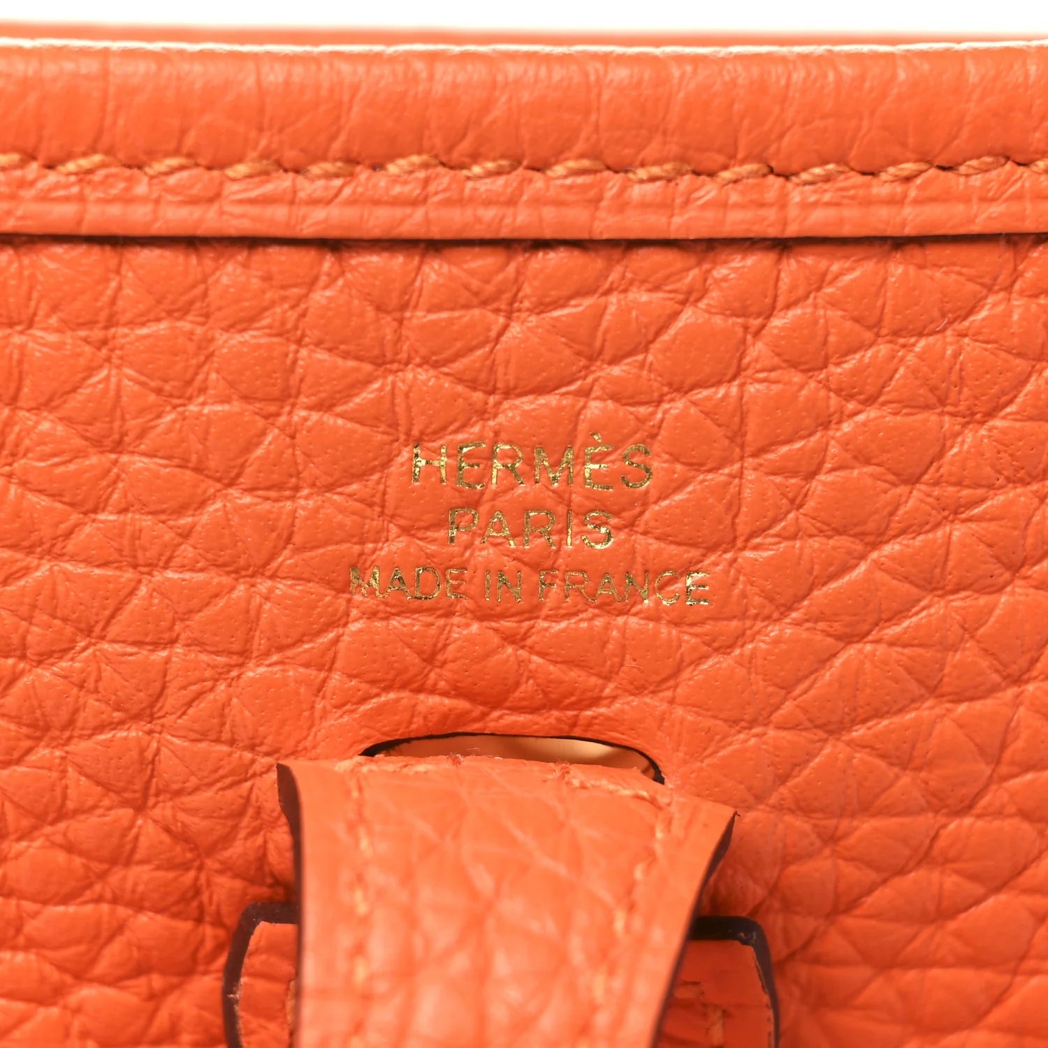 Taurillon Clemence Evelyne TPM Orange