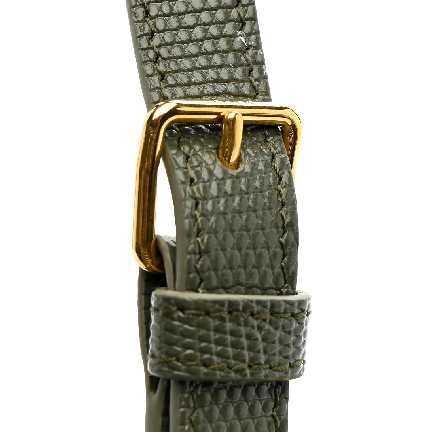 Lizard Teen Triomphe Golden Khak