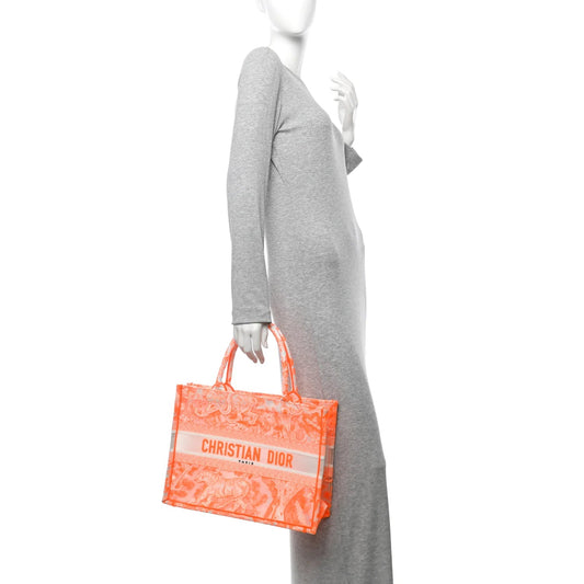 Transparent Canvas Embroidered Medium Dioriviera Toile De Jouy Book Tote