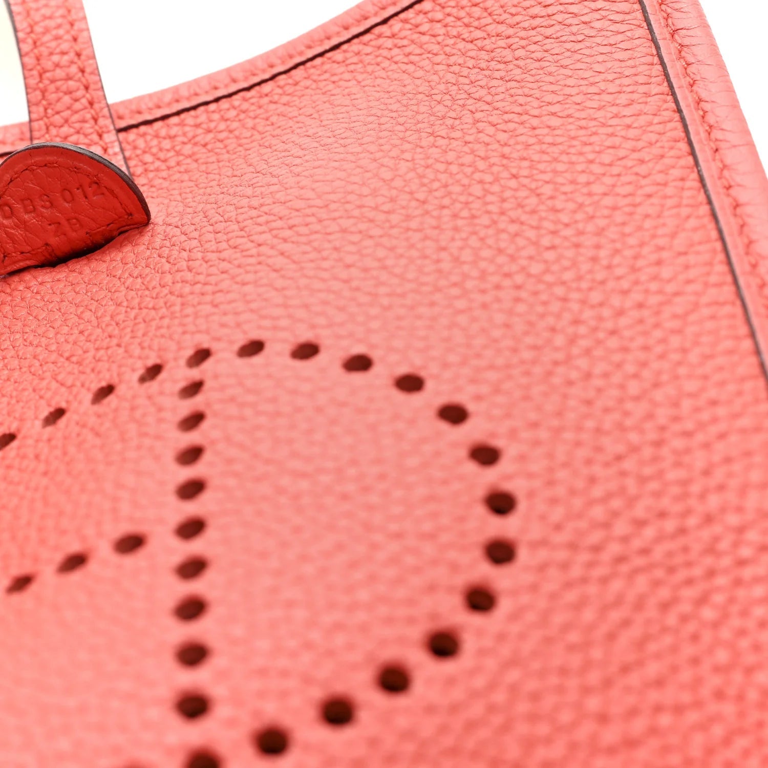 Taurillon Maurice Amazone Evelyne TPM Capucine Gold