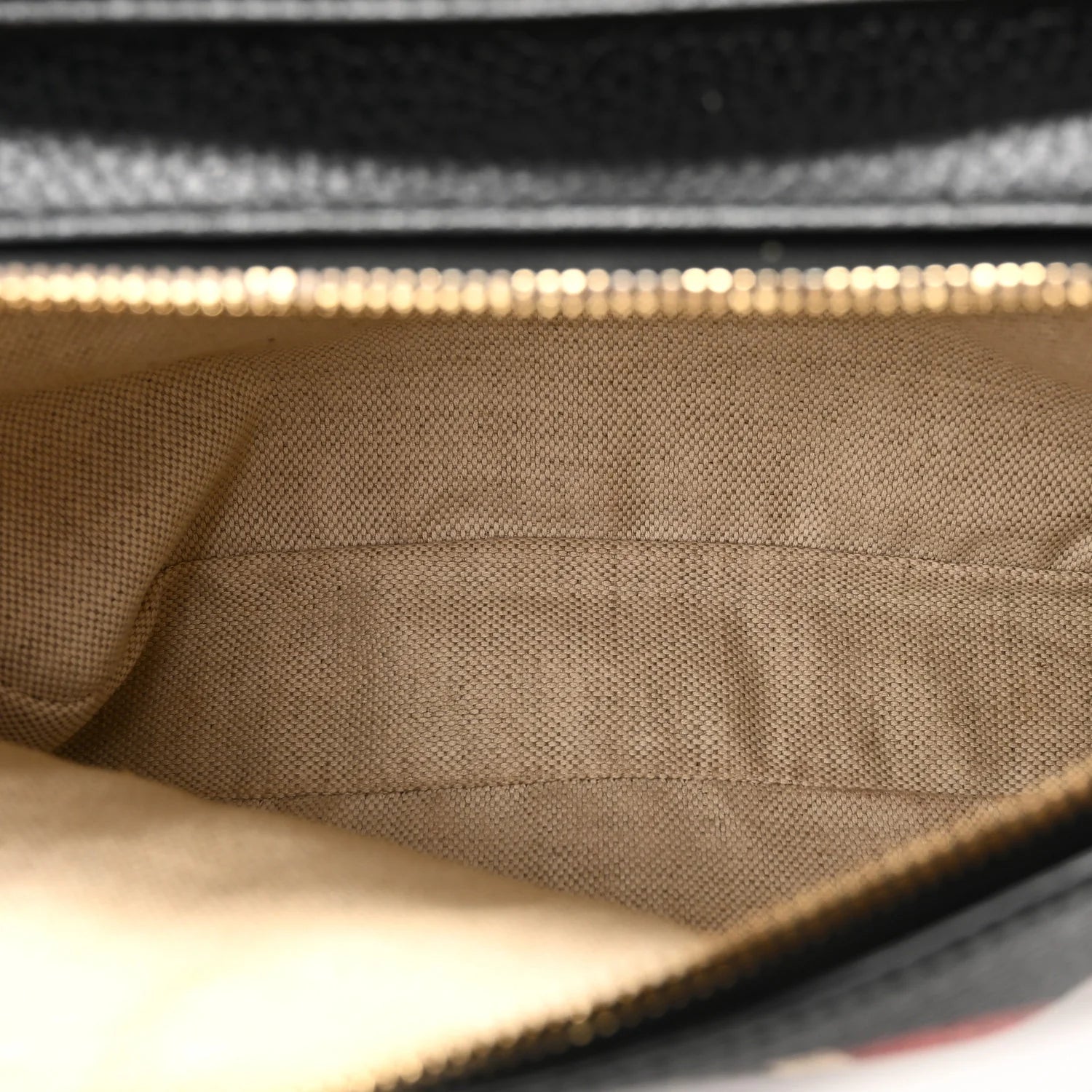 Grained Calfskin Sylvie Web Kingsnake Small Camera Bag Black Multicolor