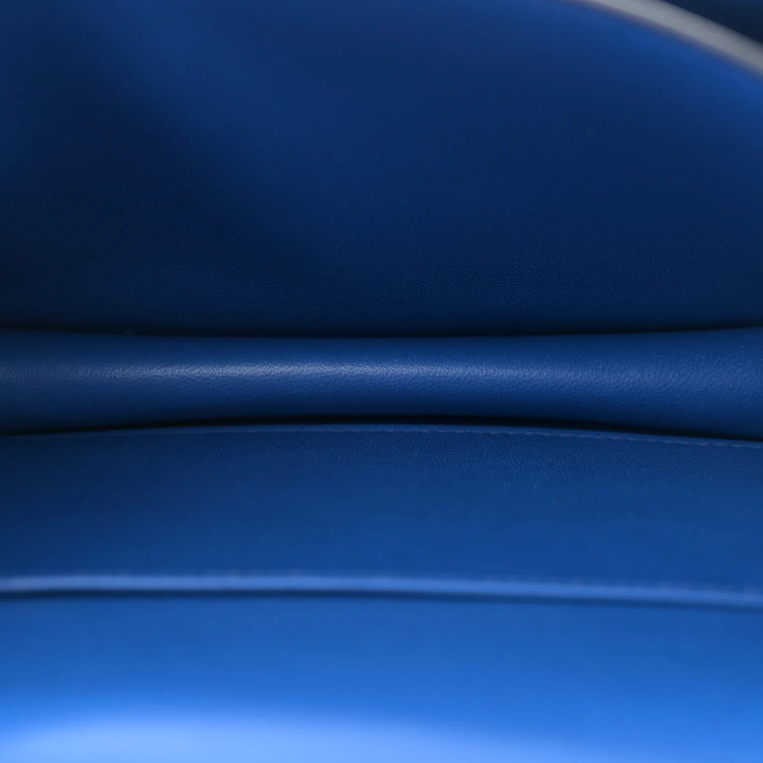 Chevre Mysore Constance 18 Bleu France