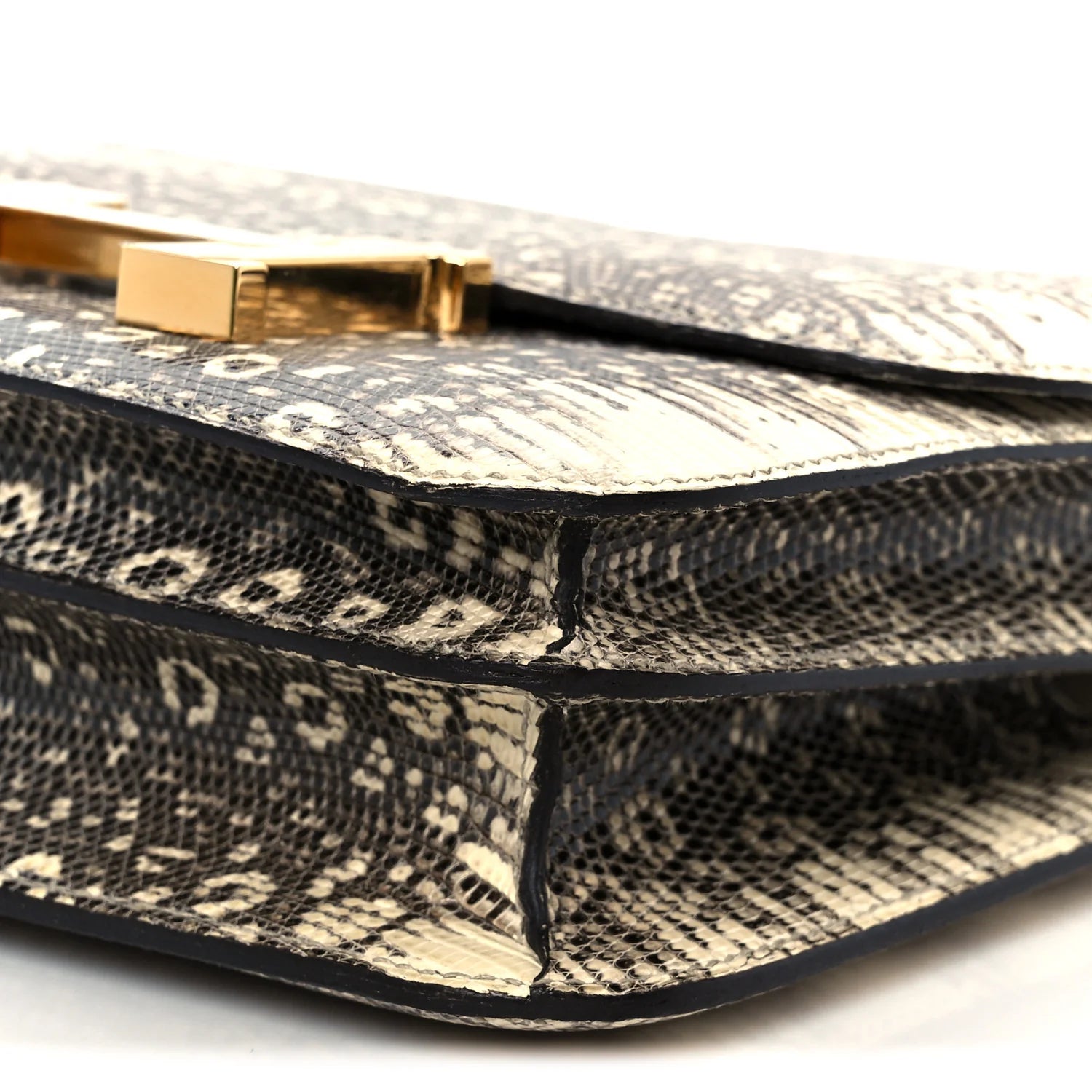 Lizard Constance 18 Ombre