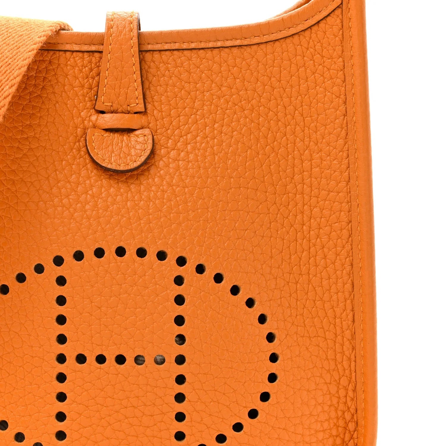 Taurillon Clemence Evelyne TPM Abricot