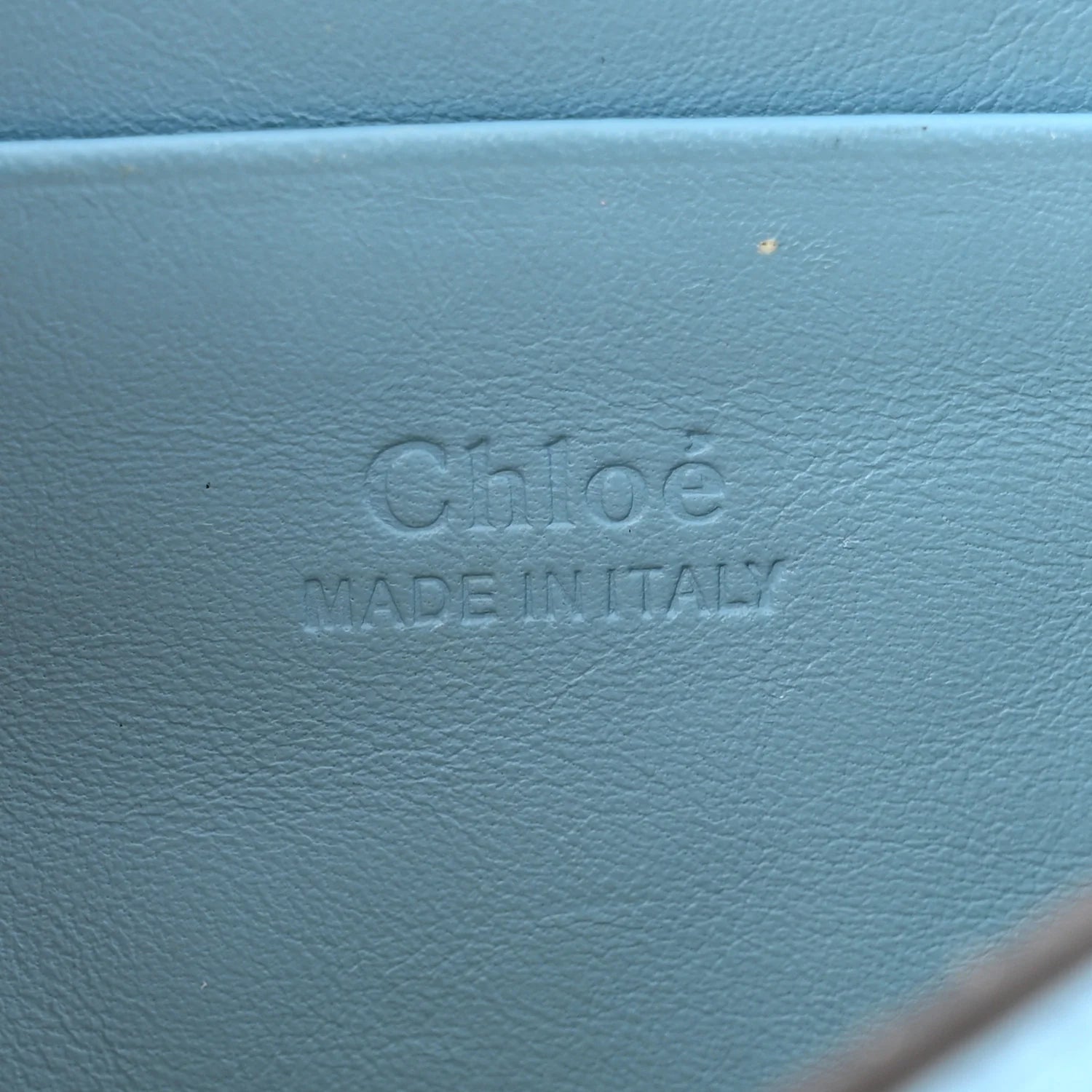 Suede Calfskin Faye Wallet on Strap Vinyl Blue