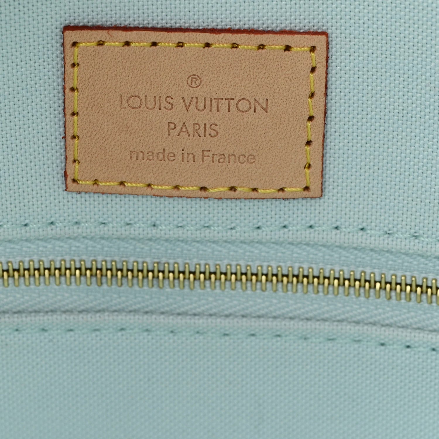 Damier Giant Onthego MM Pistachio