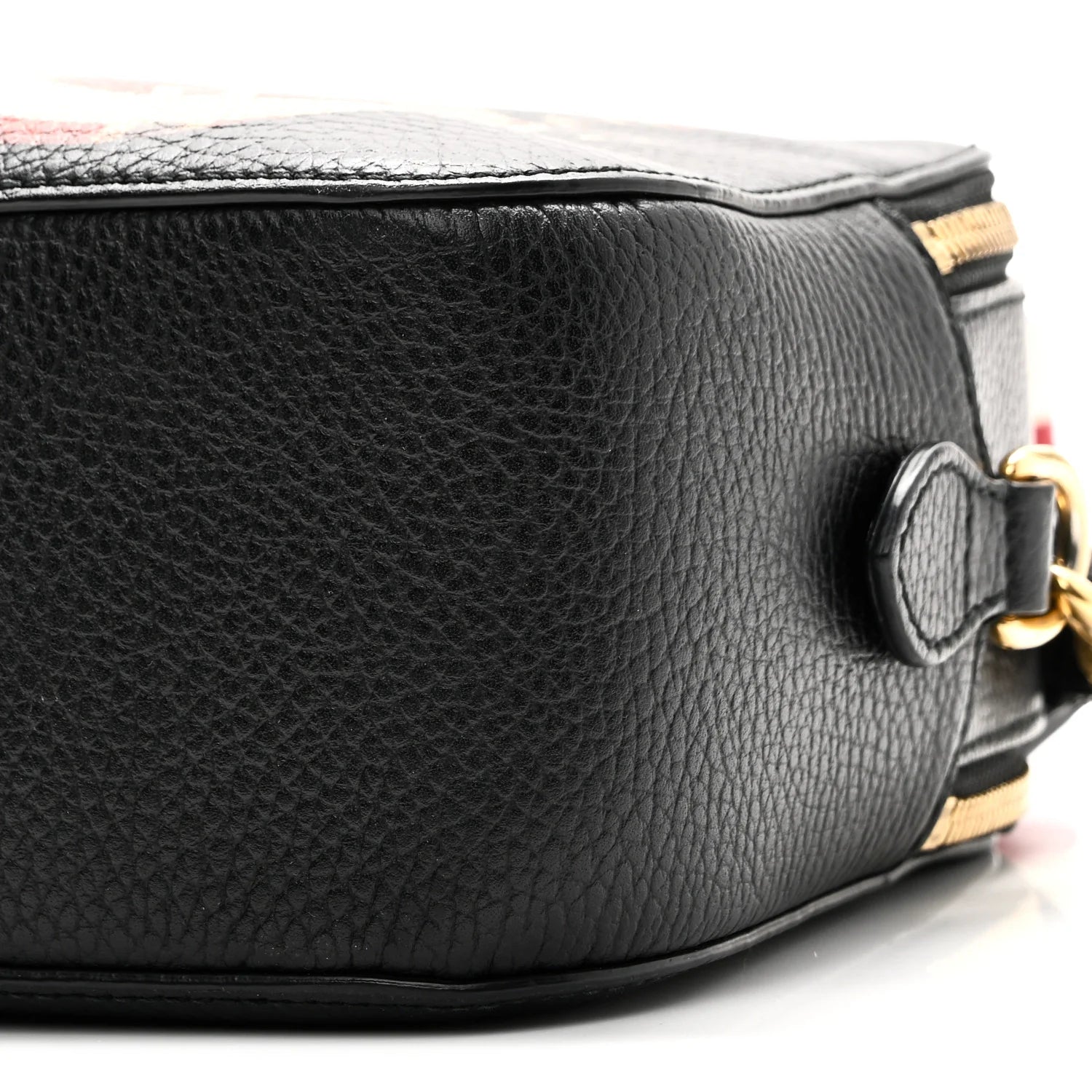 Grained Calfskin Sylvie Web Kingsnake Small Camera Bag Black Multicolor