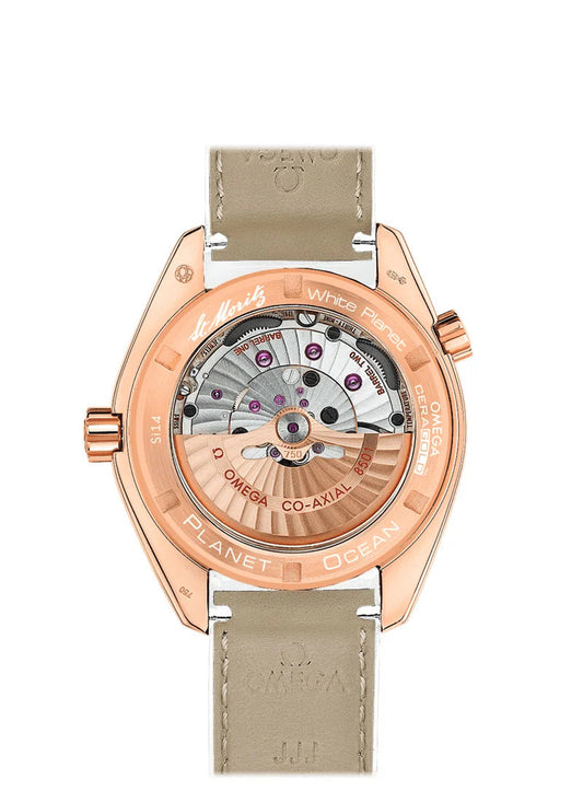 Seamaster PLANET OCEAN 600M  CO‑AXIAL Ref# 232.63.42.21.04.001