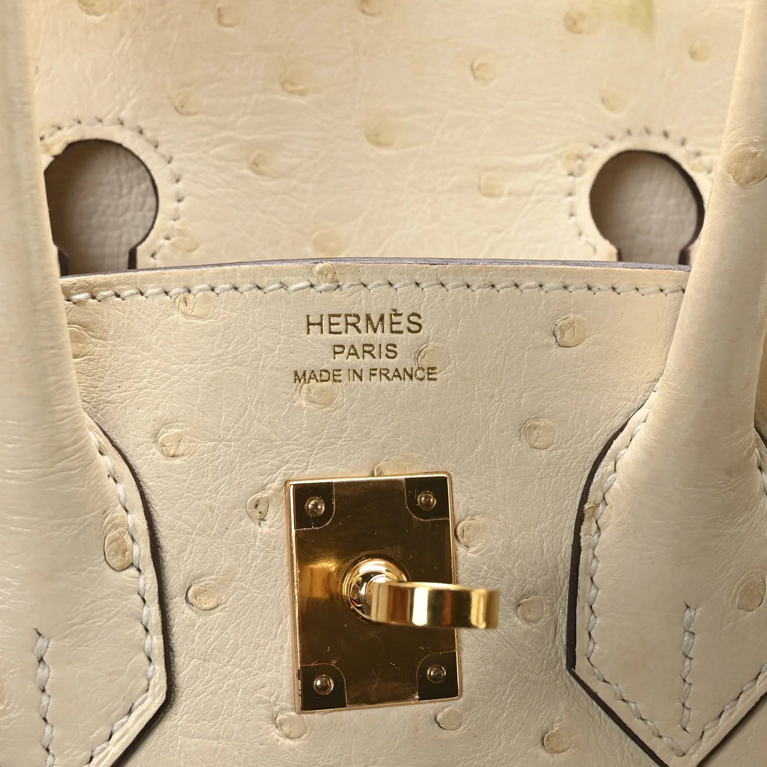 Ostrich Birkin 25 Nata