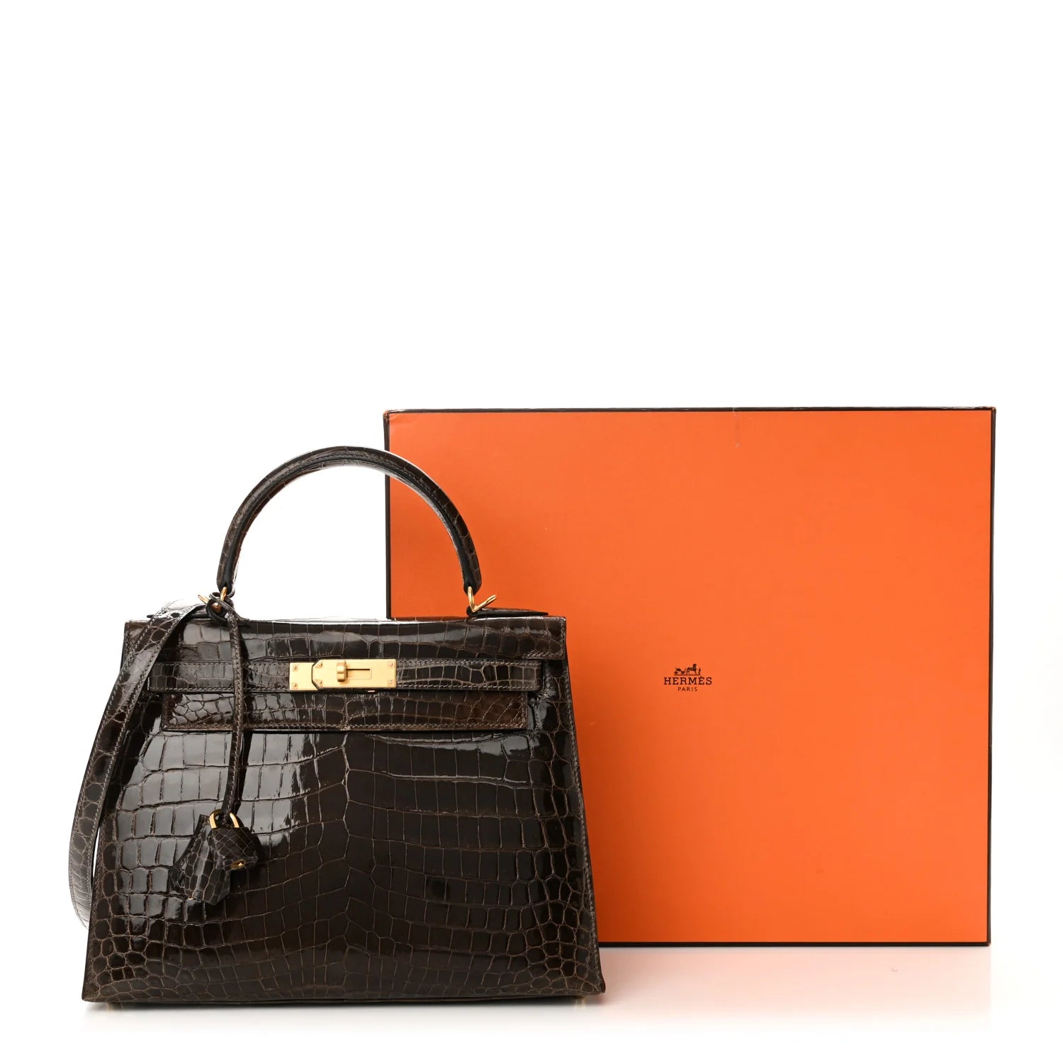 Shiny Niloticus Crocodile Kelly Sellier 28 Gris Elephant