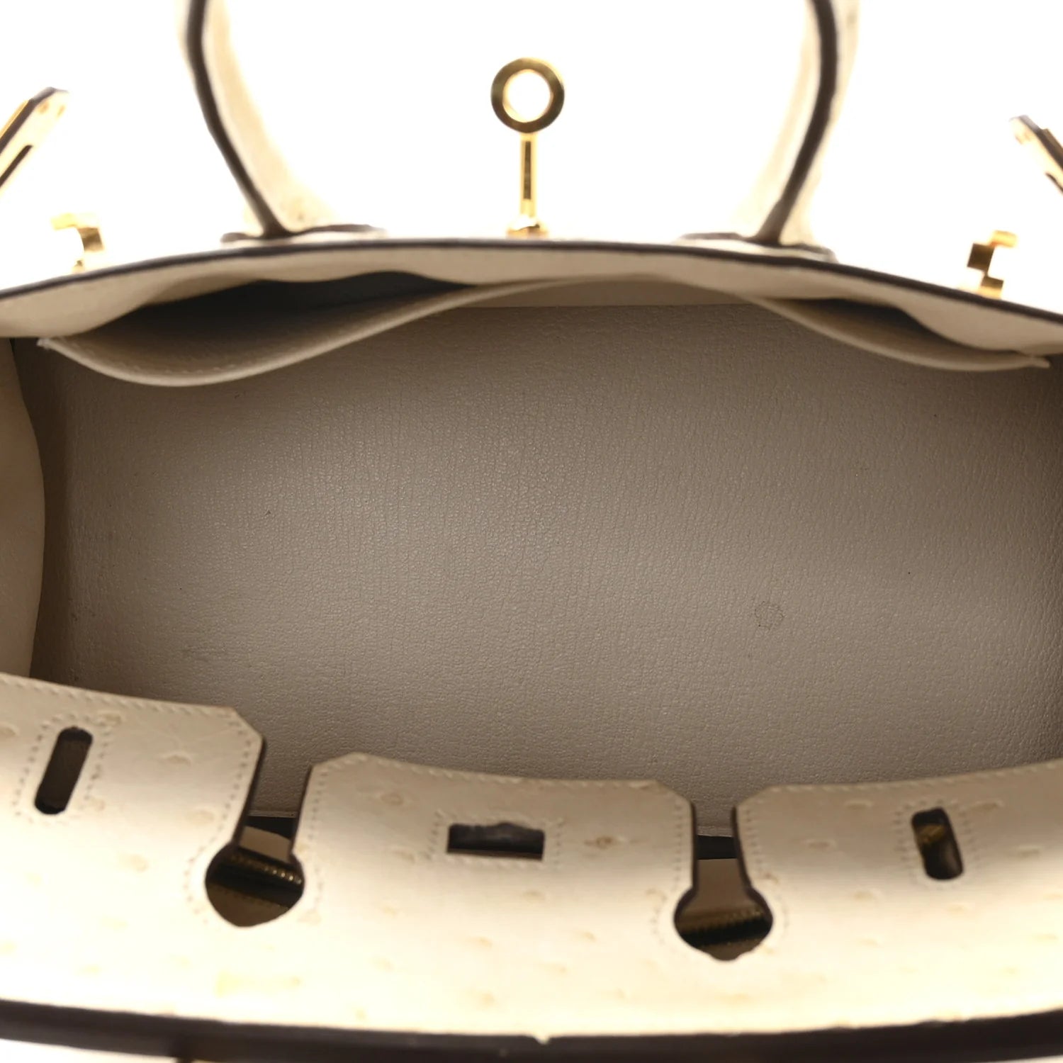 Ostrich Birkin 25 Nata