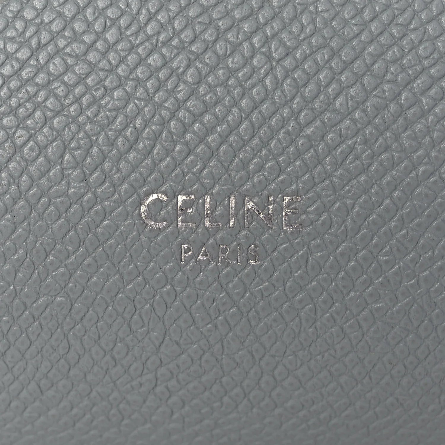 Grained Calfskin Nano Belt Bag Mineral