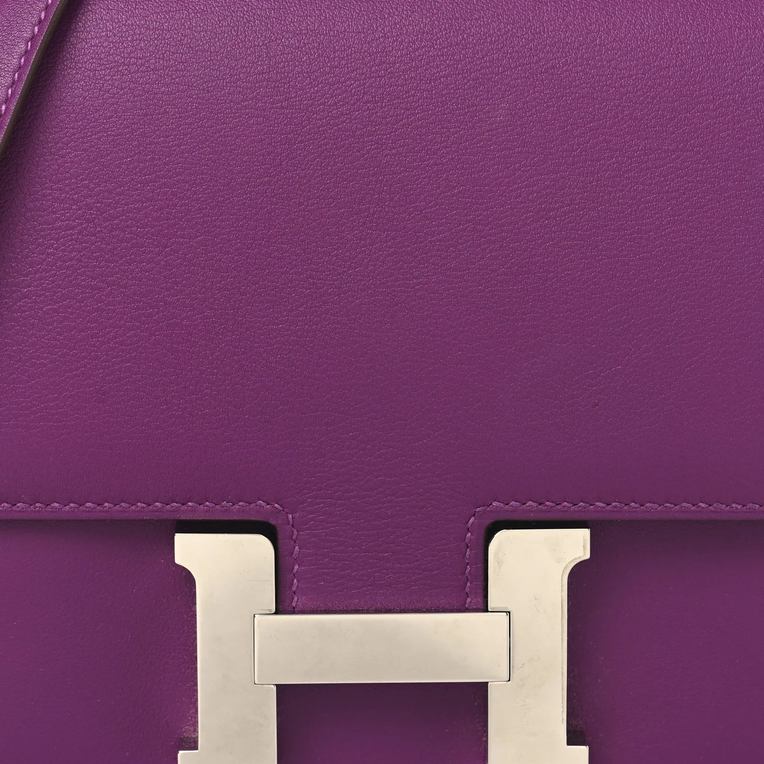 Swift Constance 18 Anemone