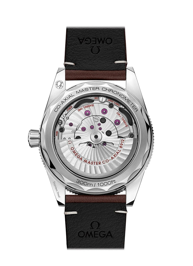 Seamaster 300 CO‑AXIAL MASTER CHRONOMETER Ref# 234.32.41.21.01.001