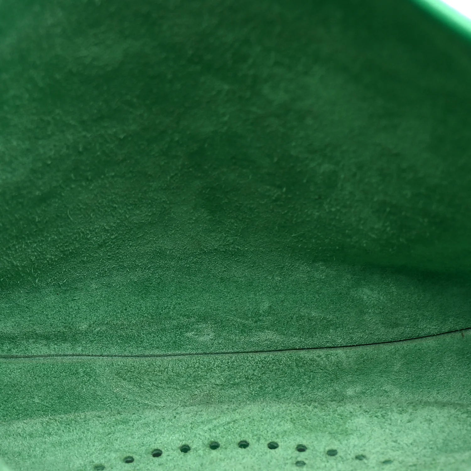 Taurillon Clemence EVELYNE III PM Menthe