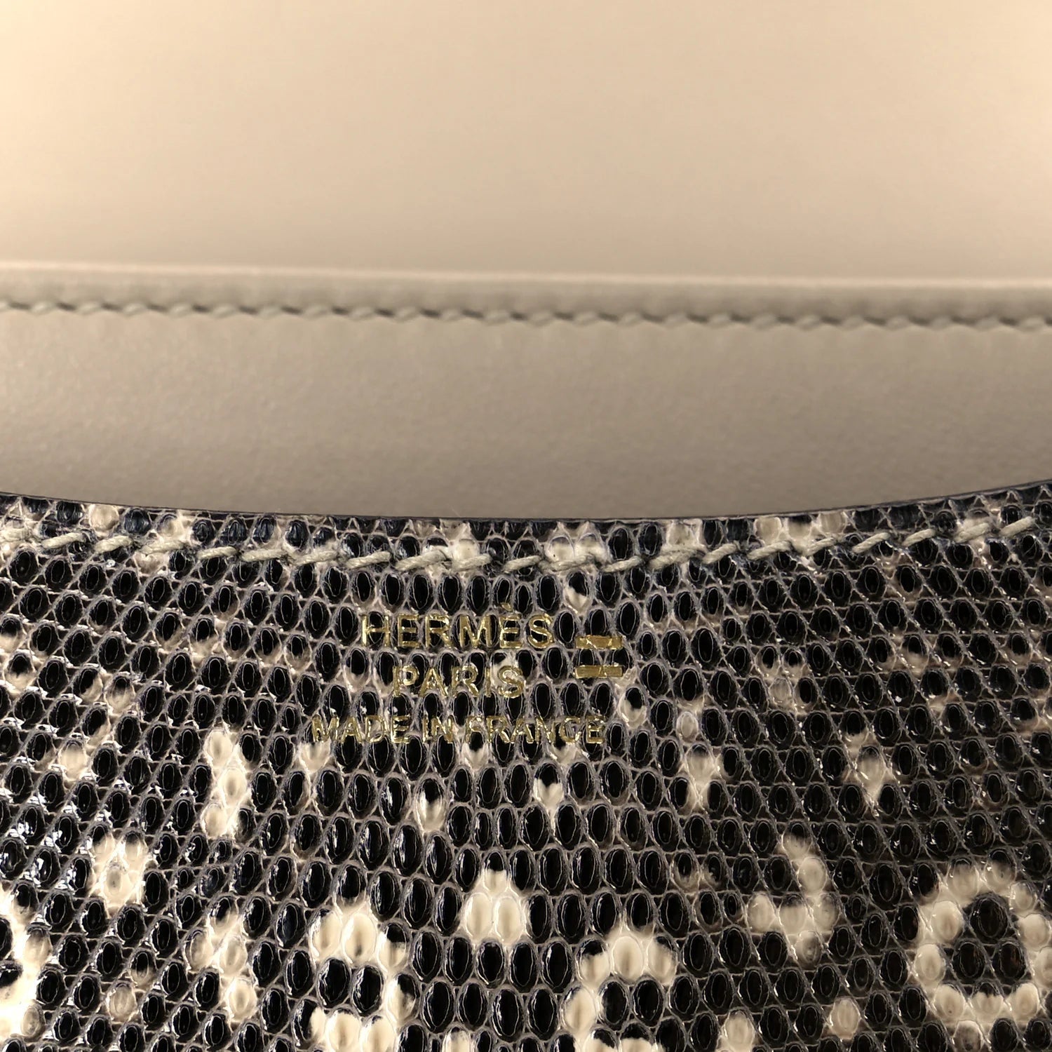 Lizard Constance 18 Ombre