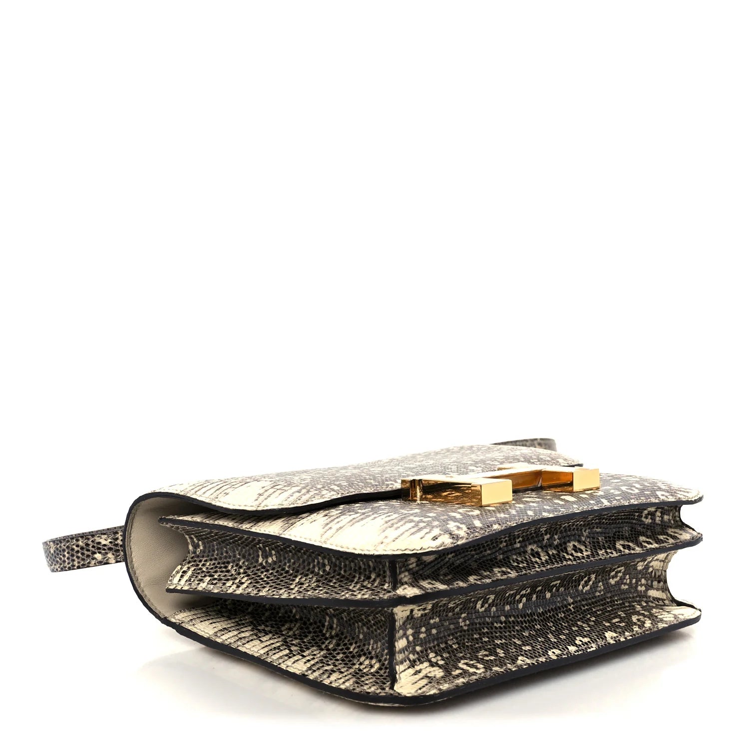 Lizard Constance 18 Ombre