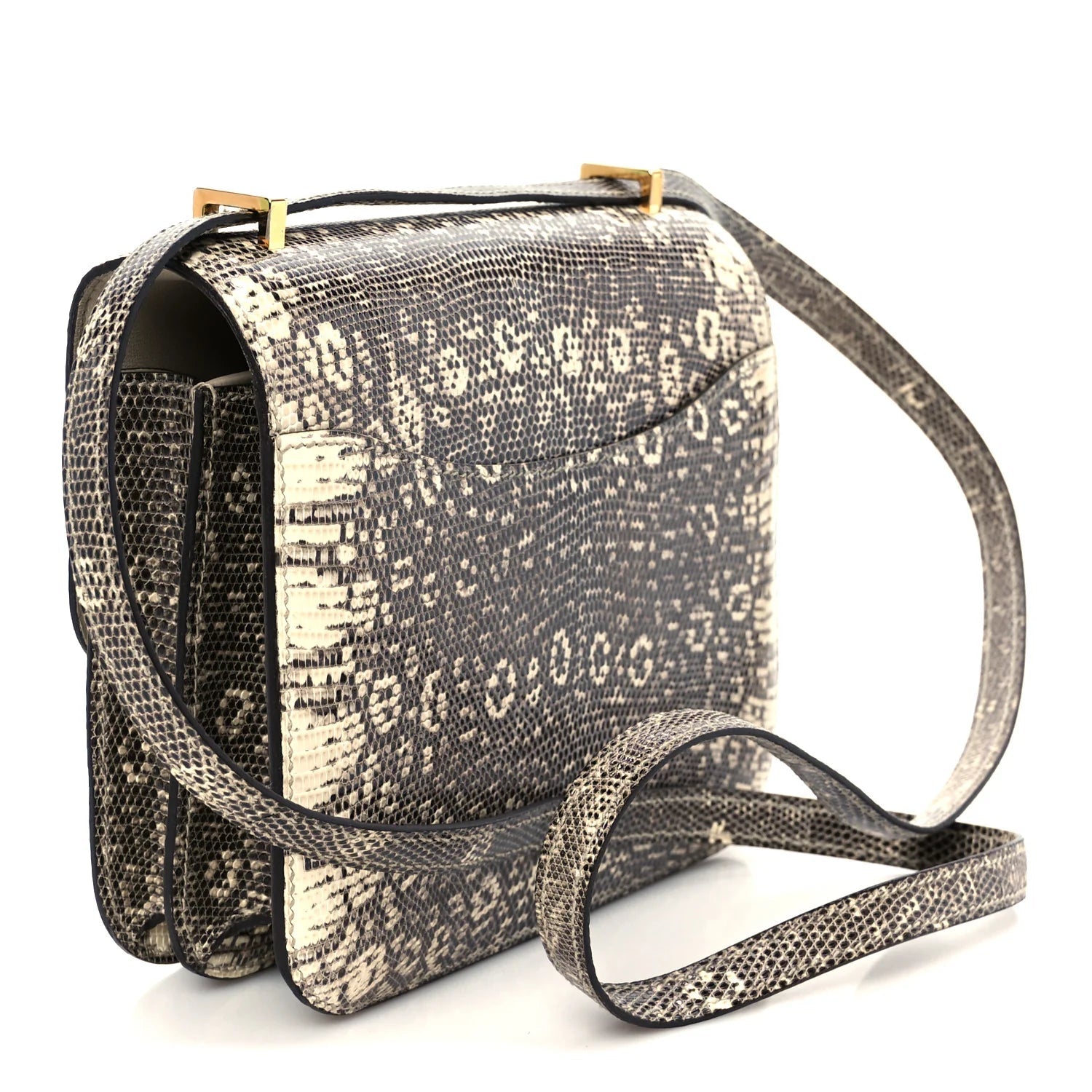 Lizard Constance 18 Ombre