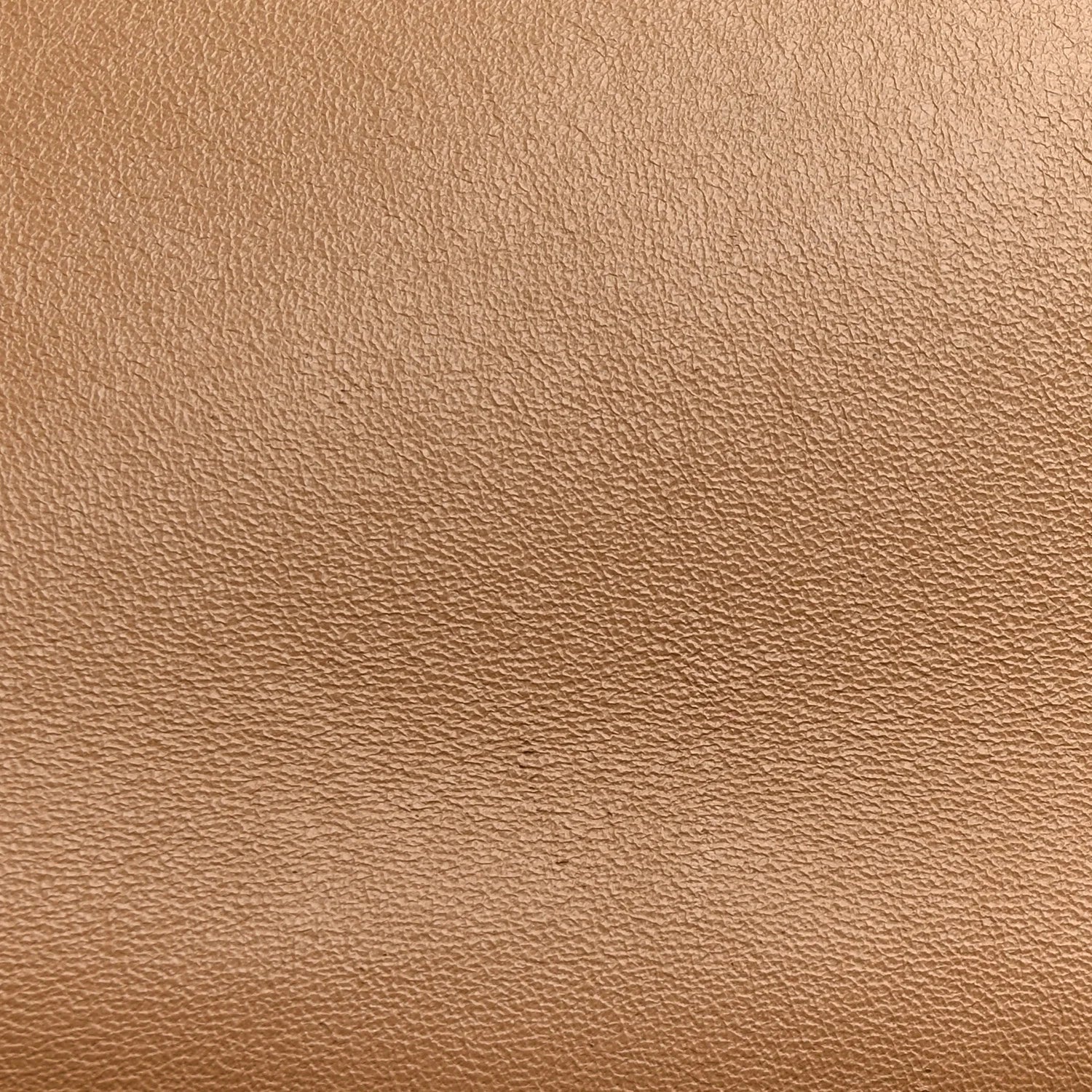 Shiny Smooth Calfskin Medium Frame Shoulder Bag Tan Optic White