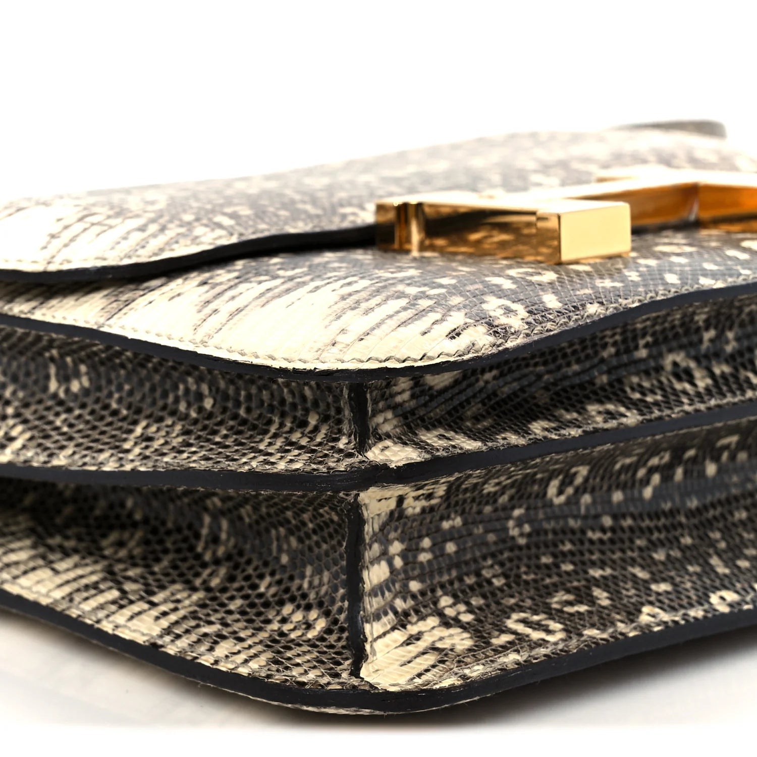 Lizard Constance 18 Ombre