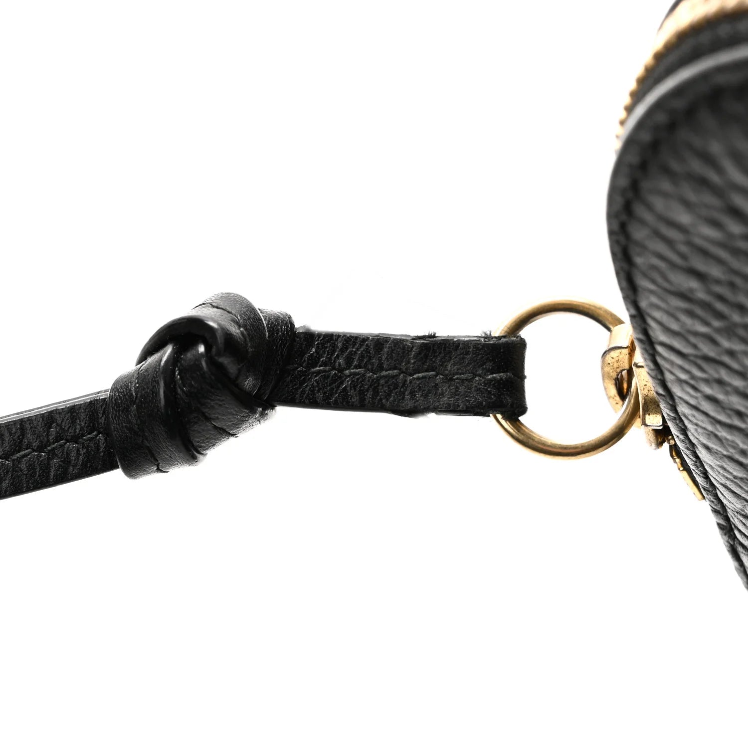 Grained Calfskin Sylvie Web Kingsnake Small Camera Bag Black Multicolor