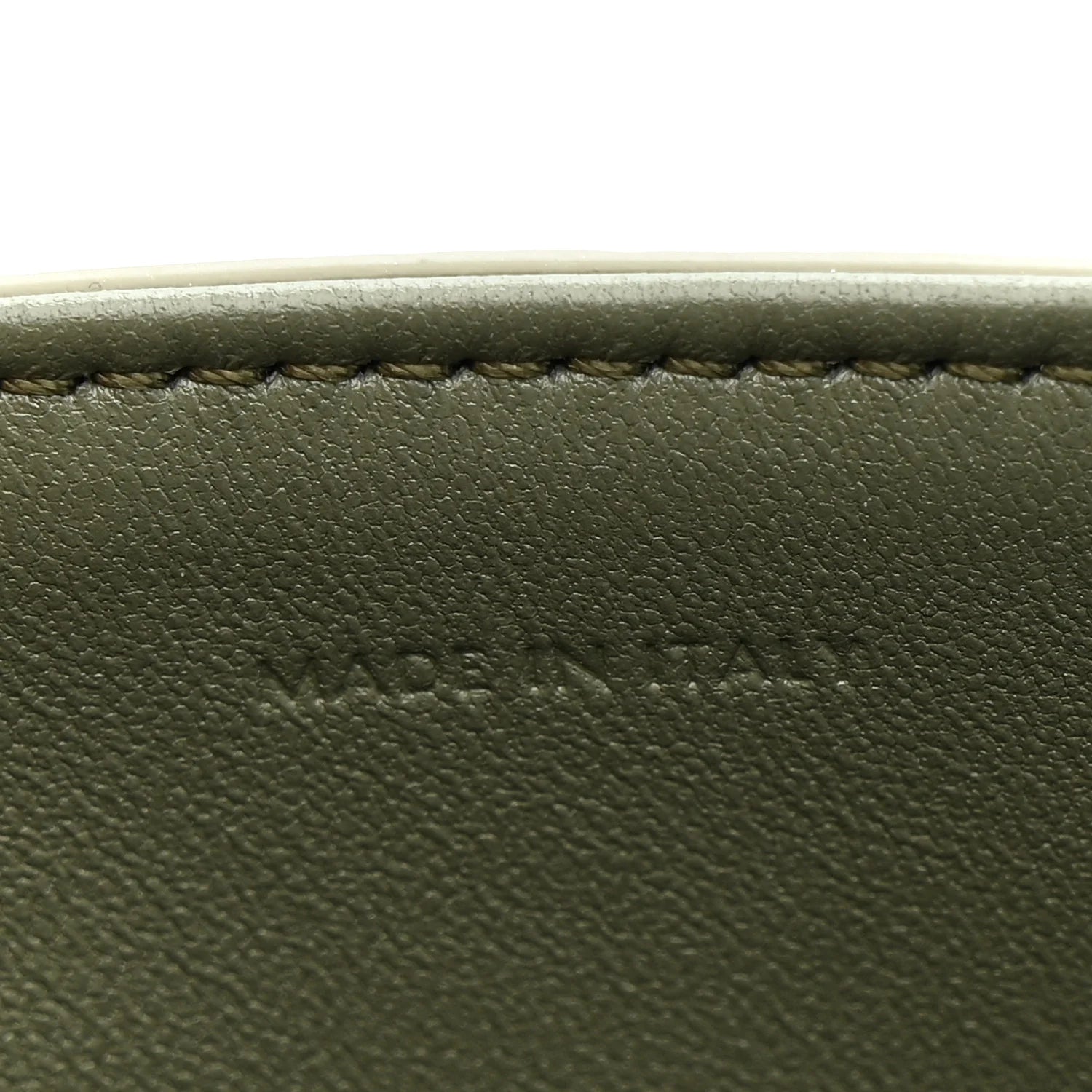 Lizard Teen Triomphe Golden Khak