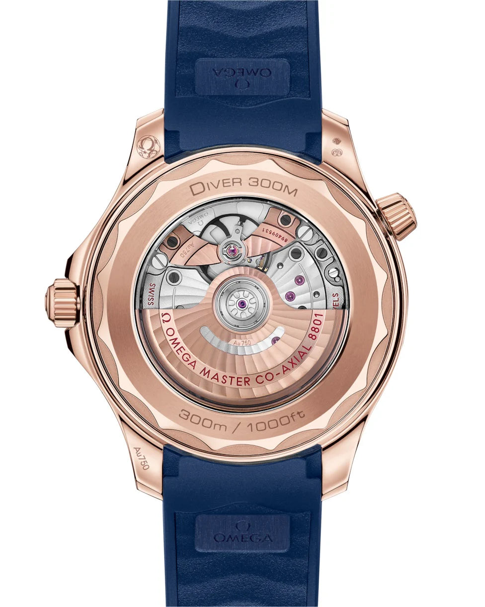 Seamaster Diver 300M Ref# 210.62.42.20.03.001, Box and Papers