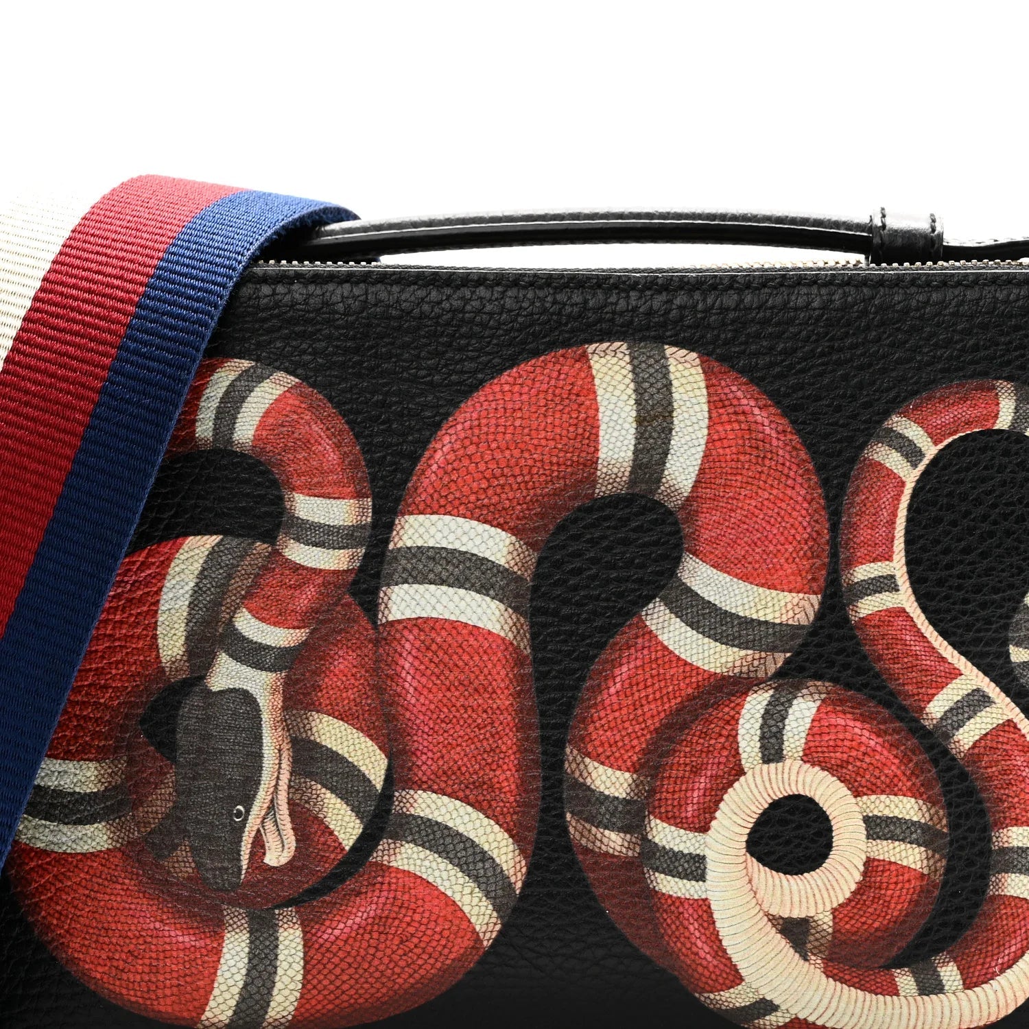 Grained Calfskin Sylvie Web Kingsnake Small Camera Bag Black Multicolor