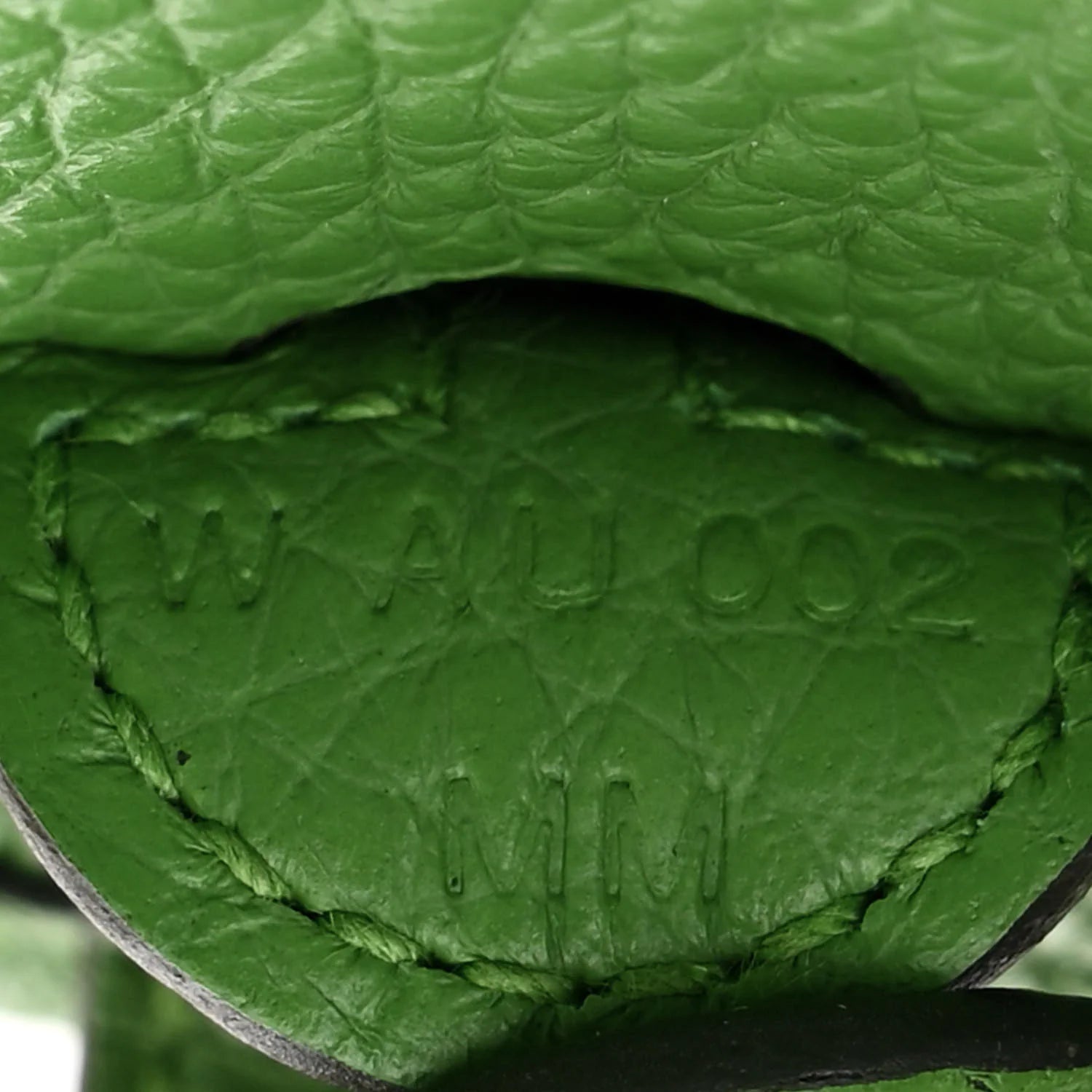 Taurillon Maurice Evelyne TPM Vert Yucca