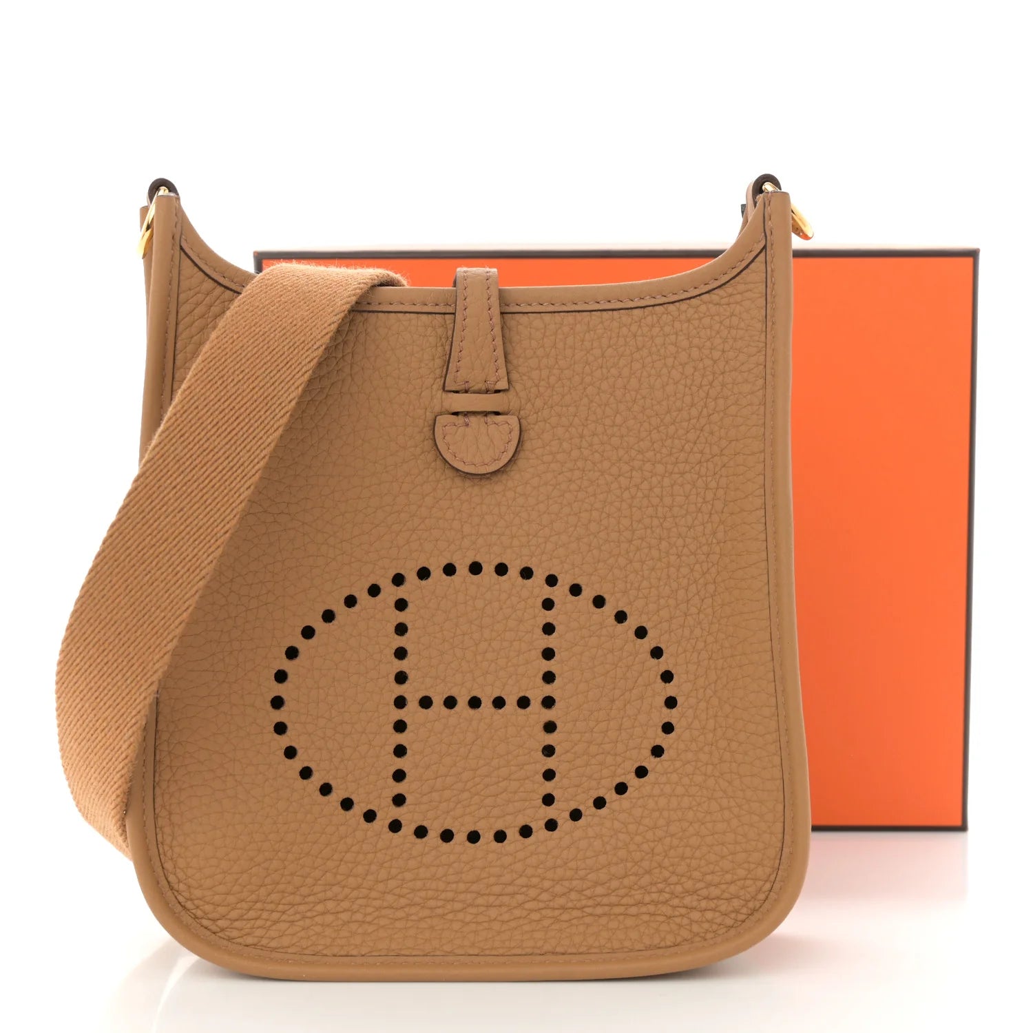 Taurillon Clemence Evelyne TPM Biscuit