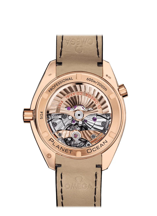 Seamaster PLANET OCEAN 600M  CO‑AXIAL Ref# 232.58.42.21.01.001