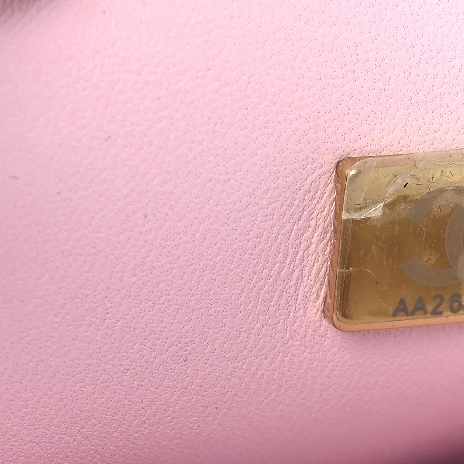 Crystal Embellished Metallic Lambskin Mini  22 Pink