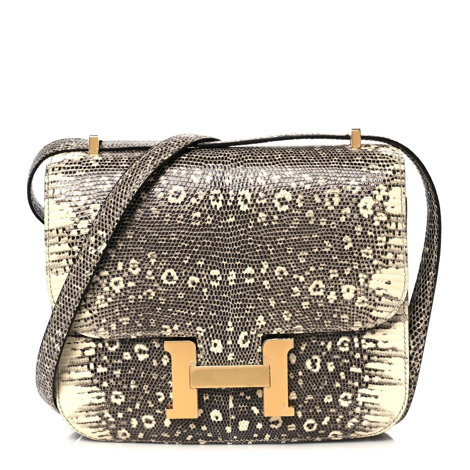 Lizard Constance 18 Ombre