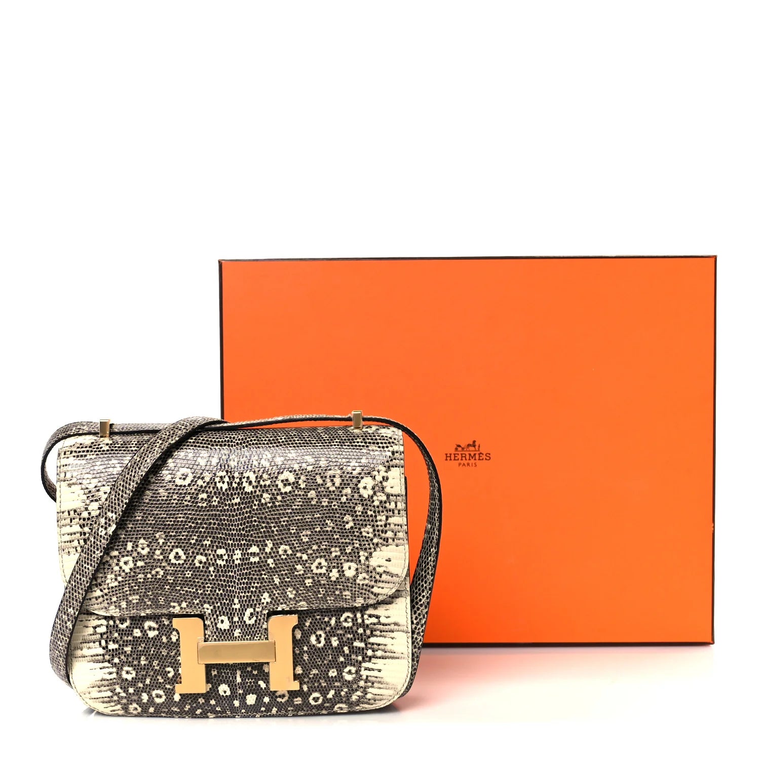 Lizard Constance 18 Ombre