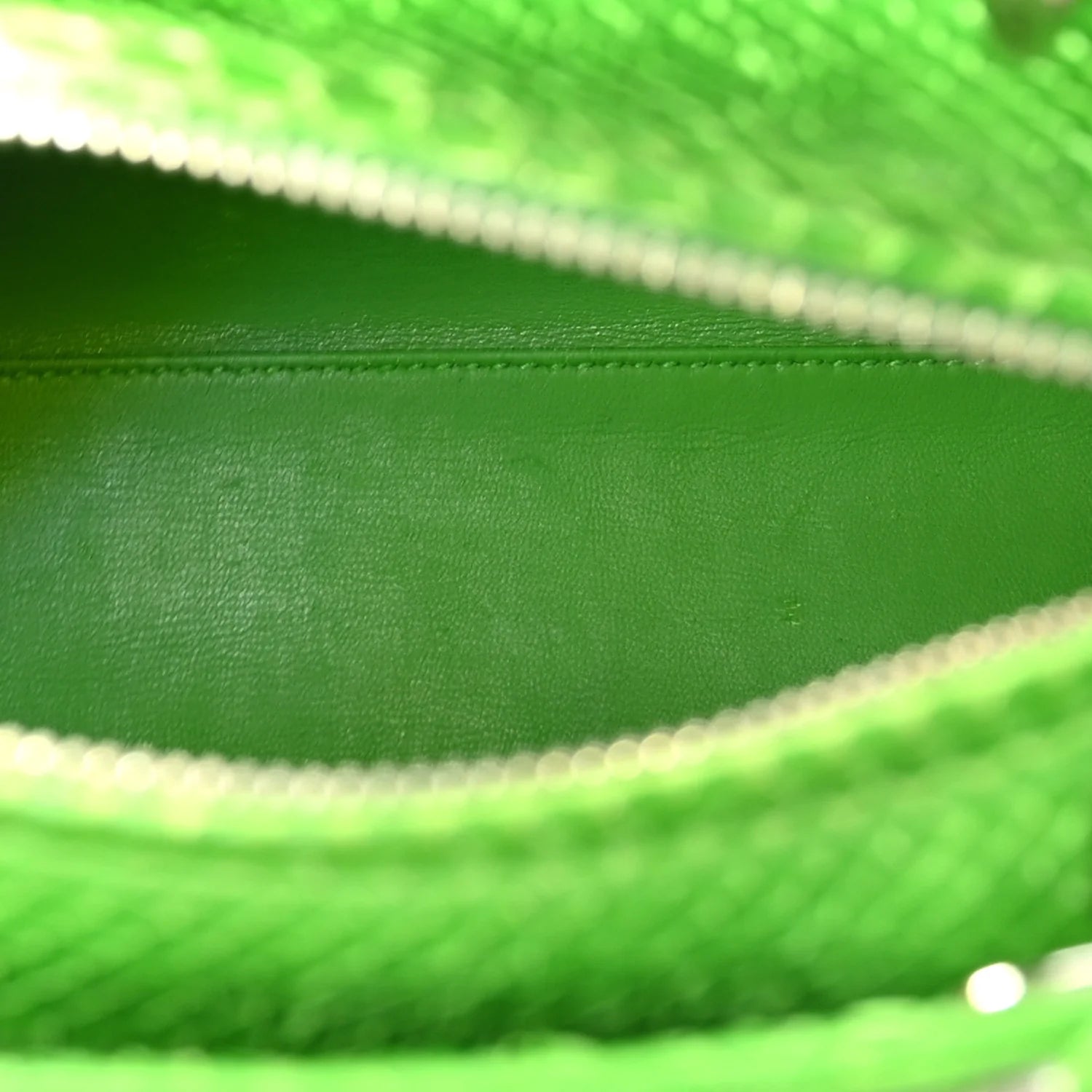 Snakeskin Medium Lady Dior Green