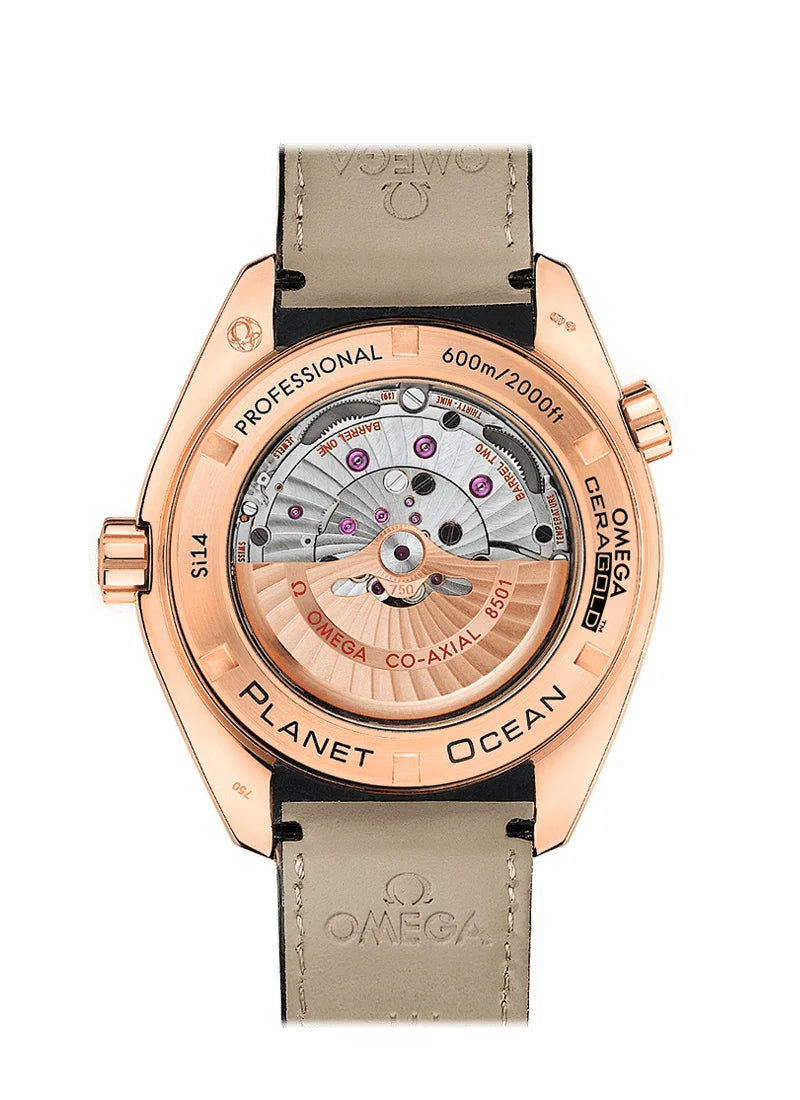 Seamaster PLANET OCEAN 600M CO‑AXIAL MASTER CHRONOMETER Ref# 232.63.46.21.01.001