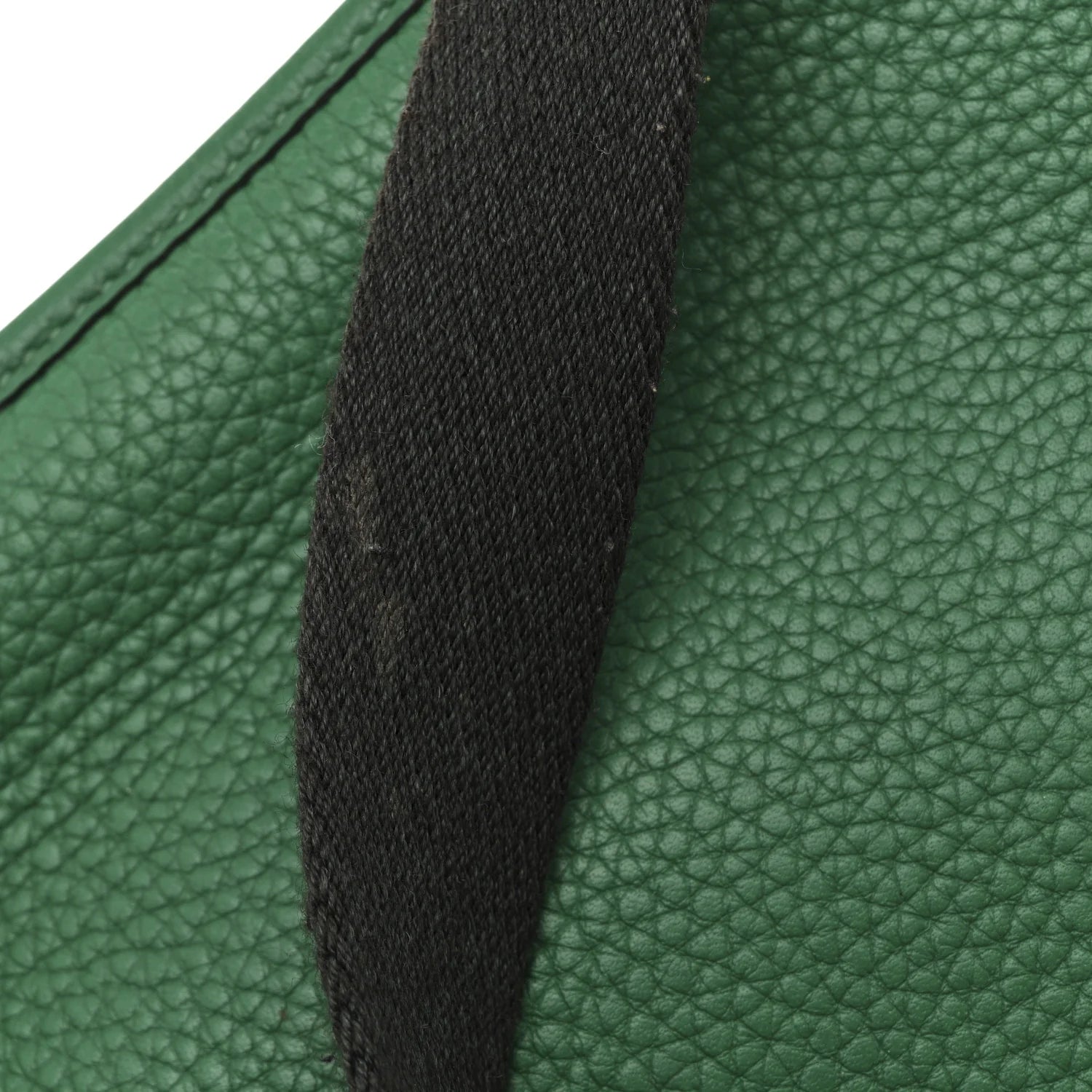 Taurillon Clemence Amazone Evelyne TPM Vert Vertigo