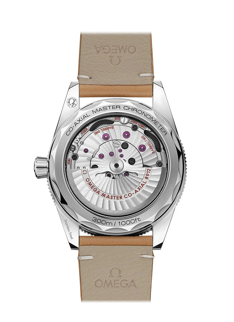 Seamaster 300 CO‑AXIAL MASTER CHRONOMETER Ref# 234.32.41.21.03.001