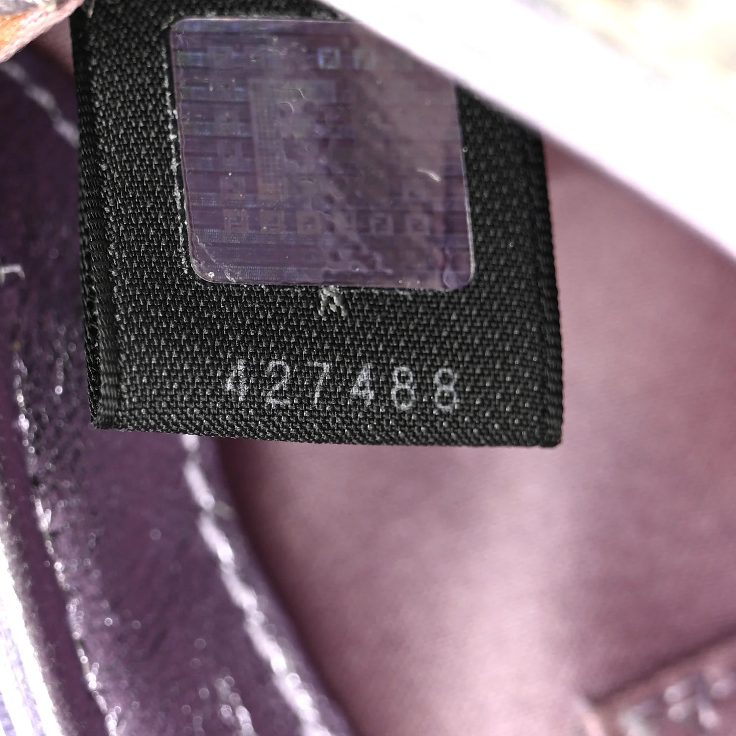 Snakeskin Nylon Vanity Mirror Clutch Transparent