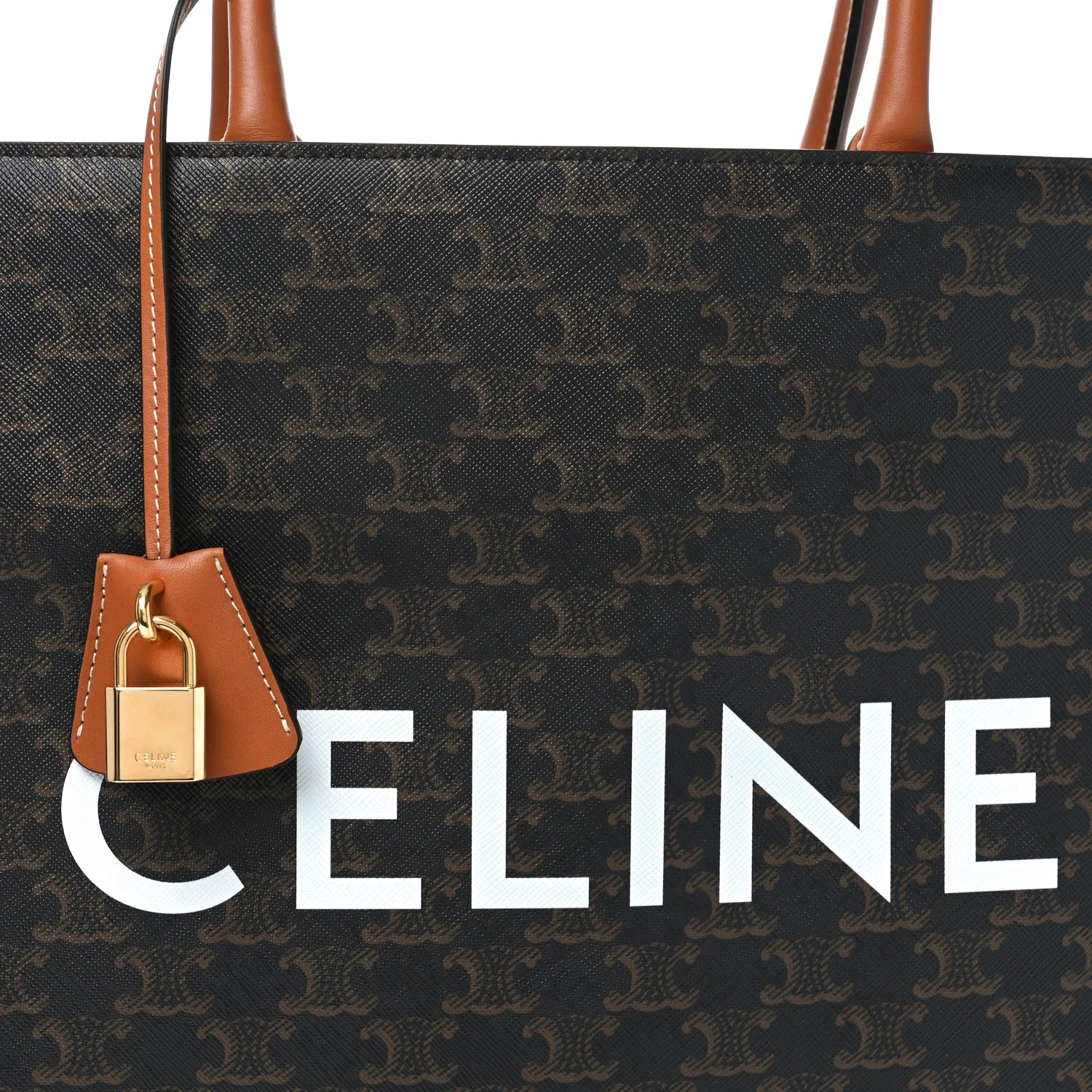 Triomphe Canvas Calfskin Large Vertical Cabas Tan