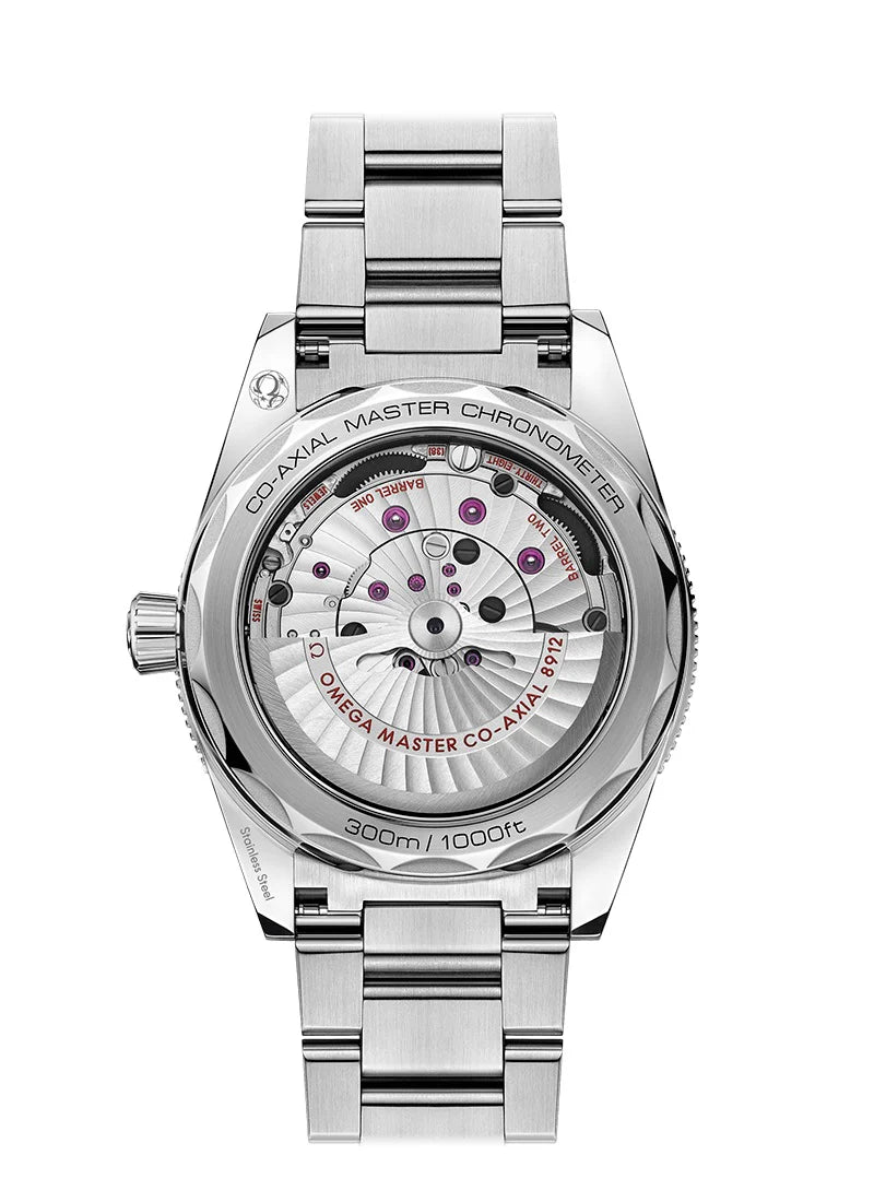 Seamaster 300 CO‑AXIAL MASTER CHRONOMETER Ref# 234.30.41.21.03.001