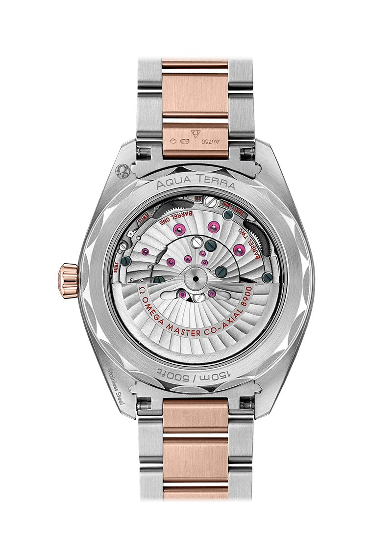 Seamaster AQUA TERRA 150M CO‑AXIAL MASTER CHRONOMETER Ref# 220.20.41.21.02.001