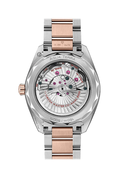 Seamaster AQUA TERRA 150M CO‑AXIAL MASTER CHRONOMETER Ref# 220.20.41.21.02.001