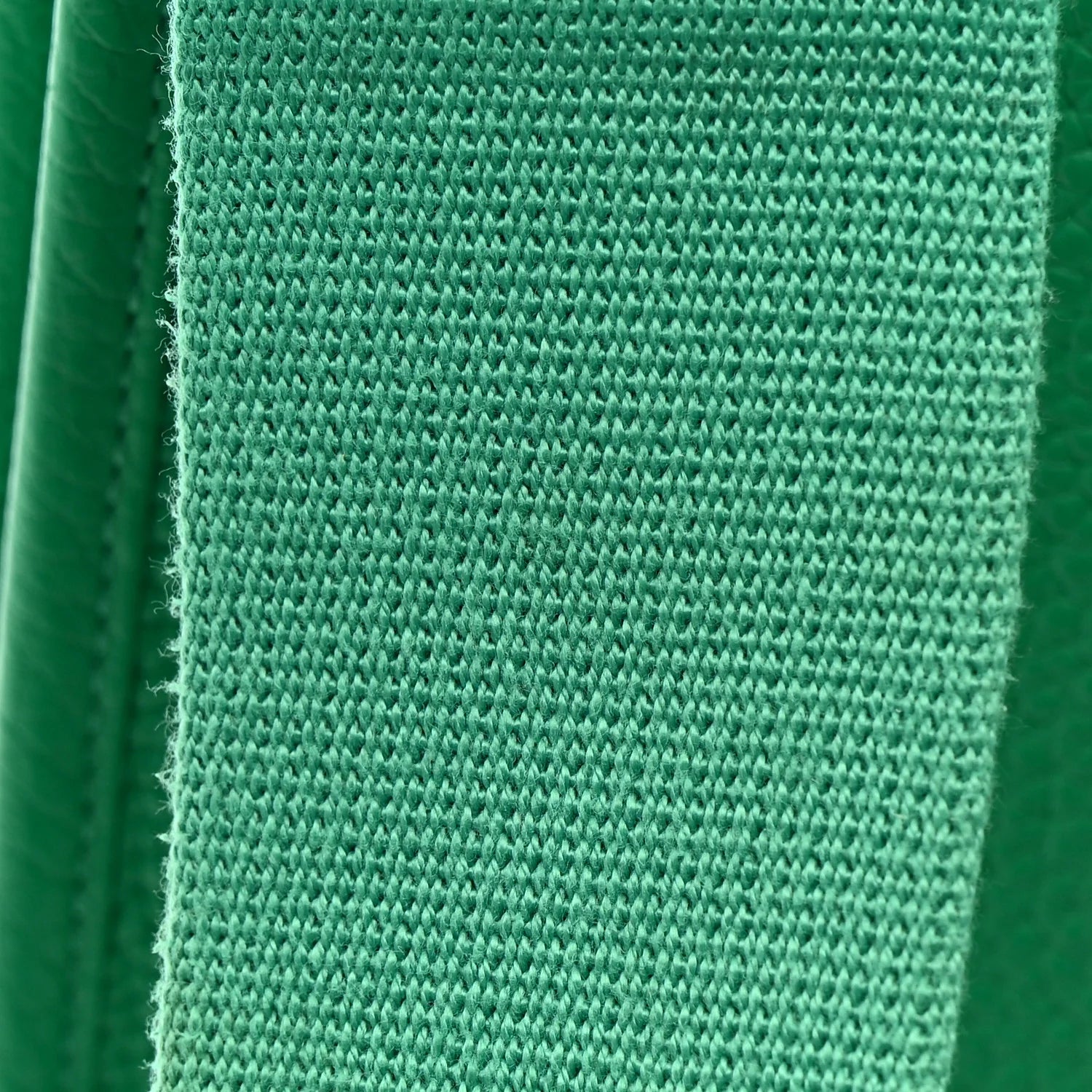 Taurillon Clemence EVELYNE III PM Menthe