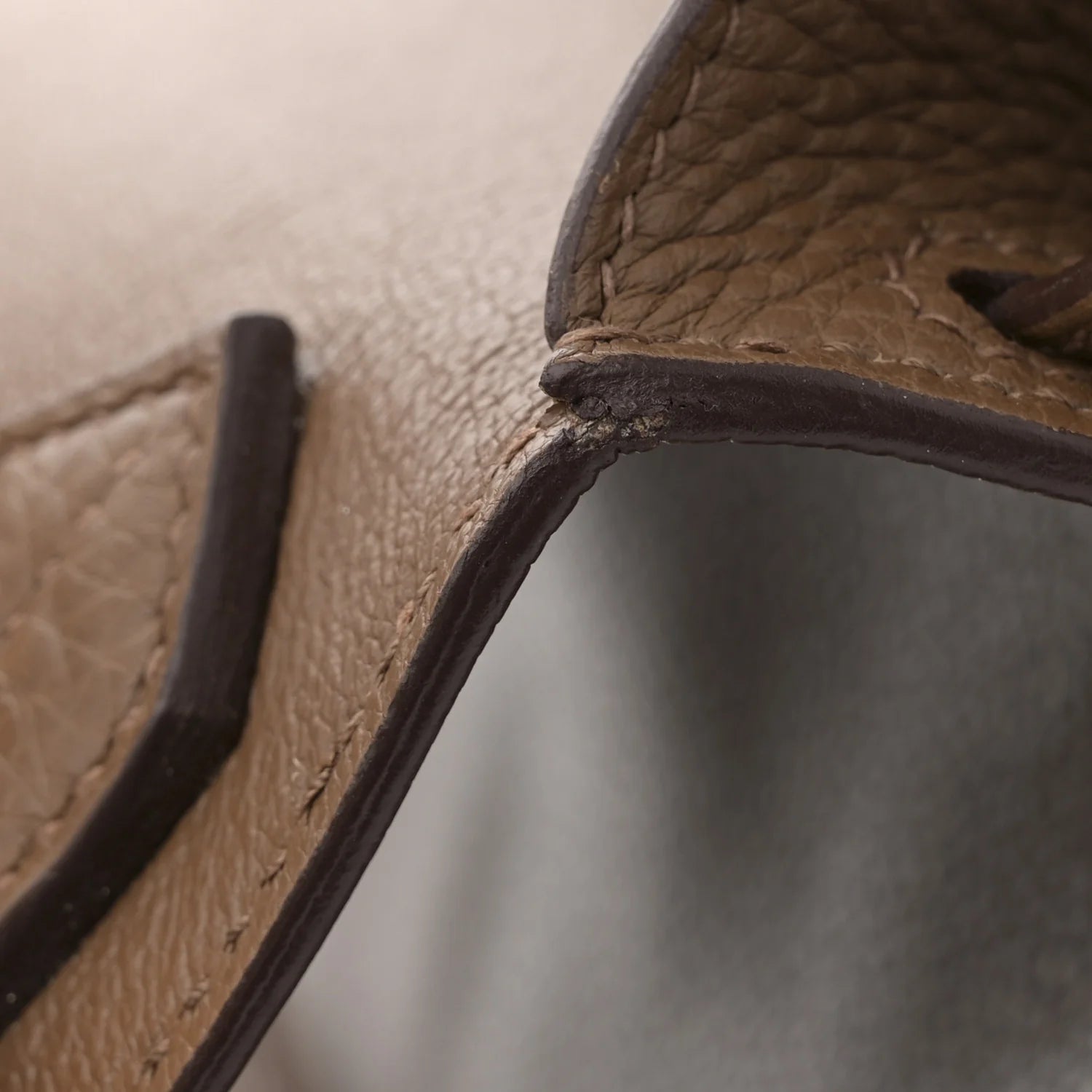 Taurillon Clemence Jypsiere 34 Alezan