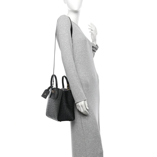 Ostrich City Steamer PM Black