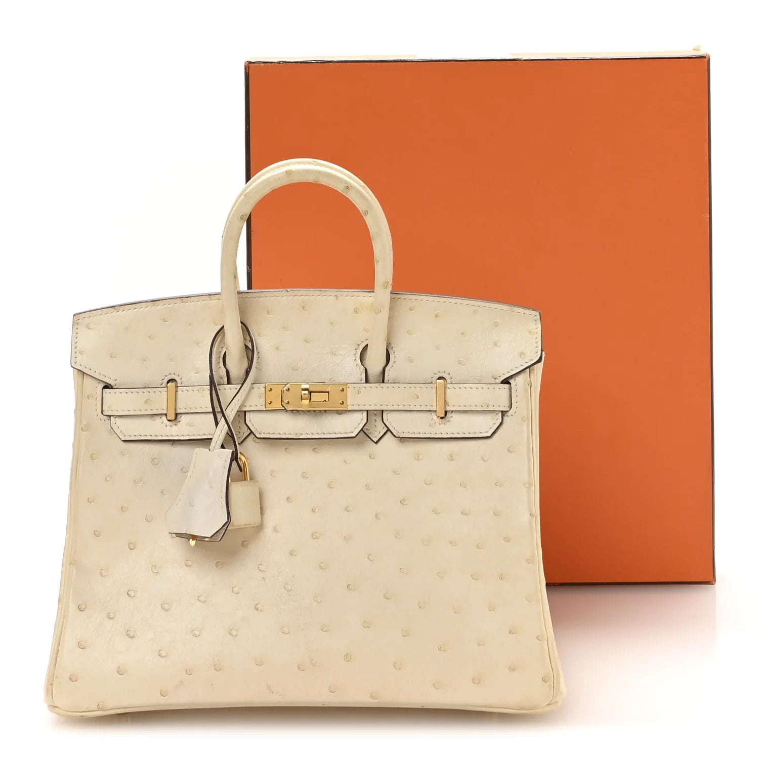 Ostrich Birkin 25 Nata