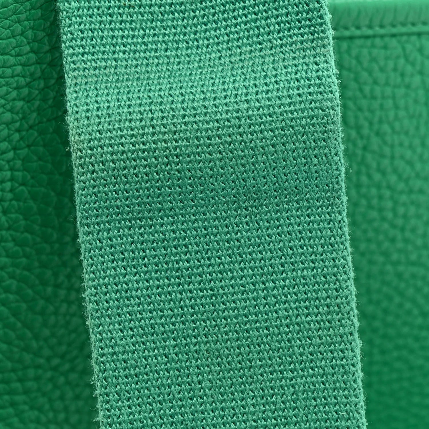 Taurillon Clemence EVELYNE III PM Menthe