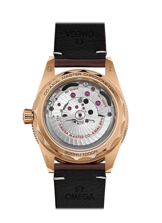 Seamaster 300 CO‑AXIAL MASTER CHRONOMETER Ref# 234.92.41.21.10.001