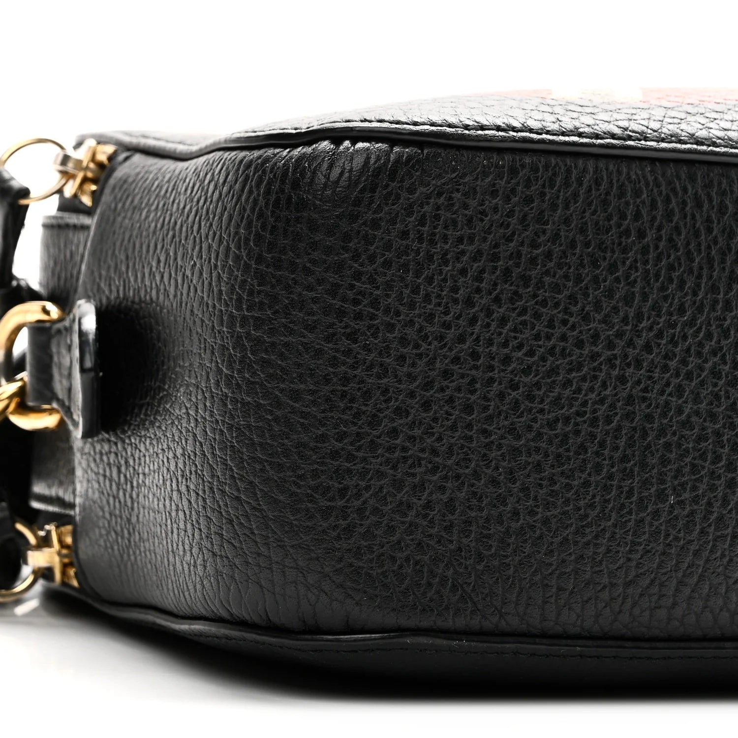 Grained Calfskin Sylvie Web Kingsnake Small Camera Bag Black Multicolor